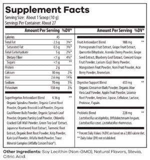 Nutridyn Fruits & Greens, MINT, 270 gm