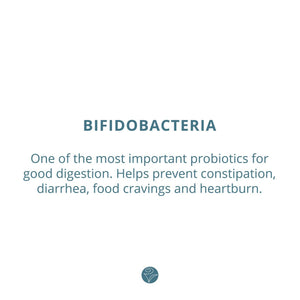 Bifido POWDER, 2.6oz