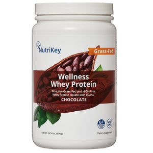 Wellness Whey Protein Chocolate, 1.5lb