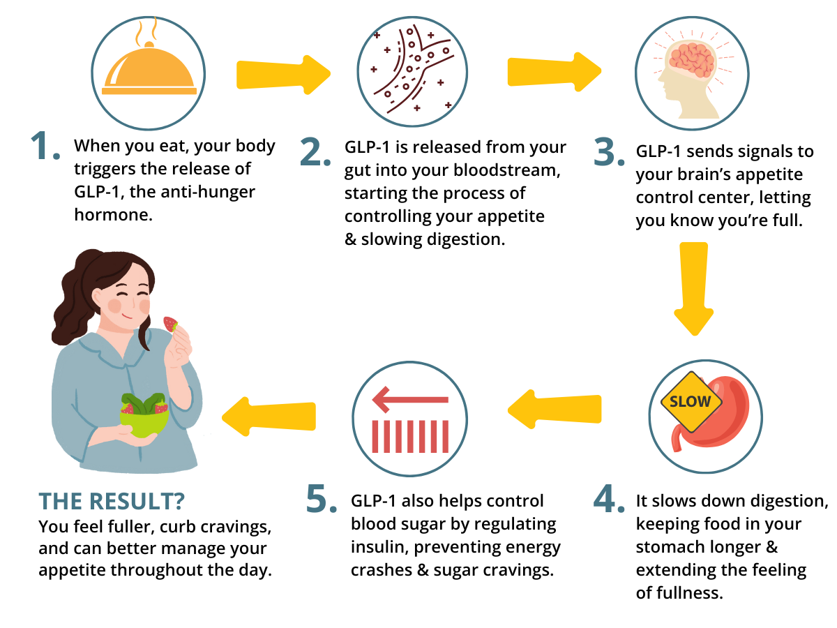 Akkermansia GLP-1 Probiotic, 30caps