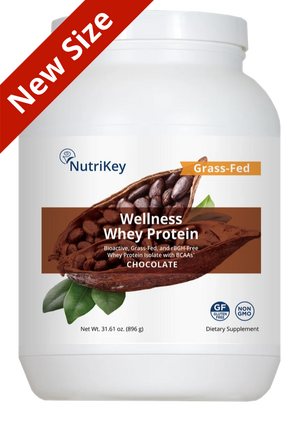 Wellness Whey Protein Chocolate, New Size 2lb